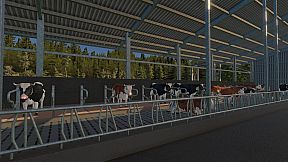 Real Farm - Gold Edition