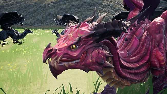 Blademistress Chronicles