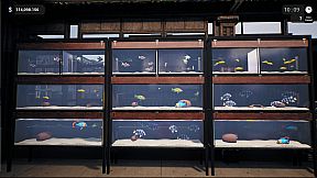 Exotica: Petshop Simulator