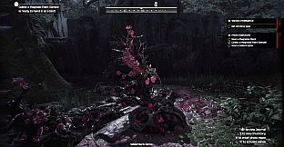 Wilderdark
