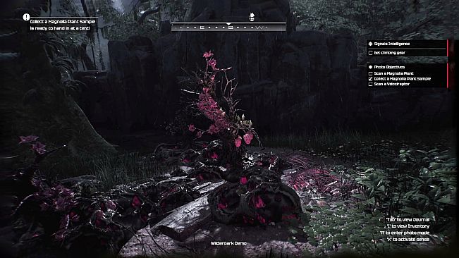 Wilderdark