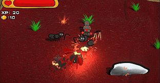 Insect Dude! Underground Roots