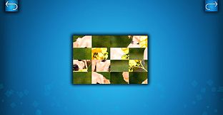 PUZZLE: CATS & DOGS - Puzzle Pack: Summer Dogs