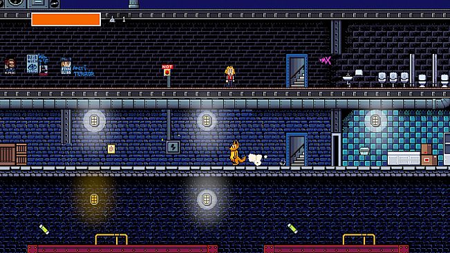 The Kangaroo Conspiracy DX