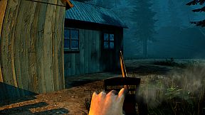 Into the Fold - Nala Junction