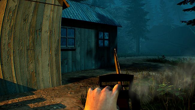 Into the Fold - Nala Junction