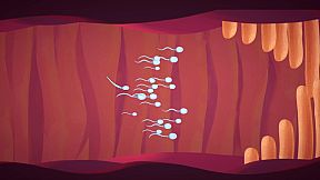 Asuji: The Legend of You