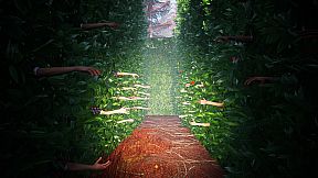 Great North Shelter 2