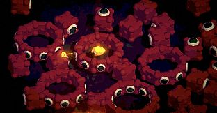 Polyopthalmia