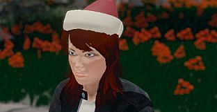 Hide and Seek - Santa Hat