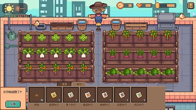 宠物街金鱼姬 Pet Street Story