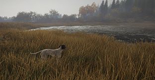 theHunter: Call of the Wild - German Shorthaired Pointer