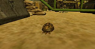 Animals for Clip maker