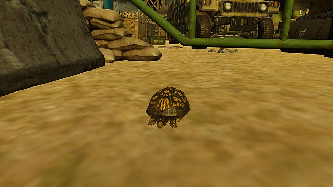 Animals for Clip maker