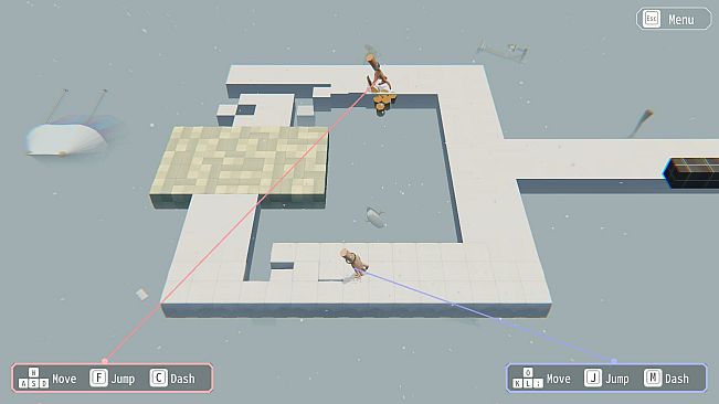 Hypotheses on the Symmetry between Vision and Hands