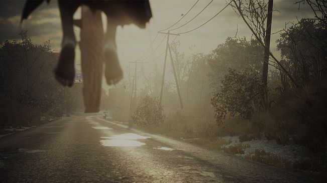 Phantom Loop: Full Circle