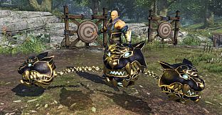 WARRIORS OROCHI 4 - Sacred Treasures Pack 1