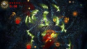 Striving for Light: Survival