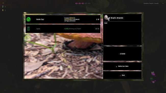 Shroomocracy! And The Wand Of Ages