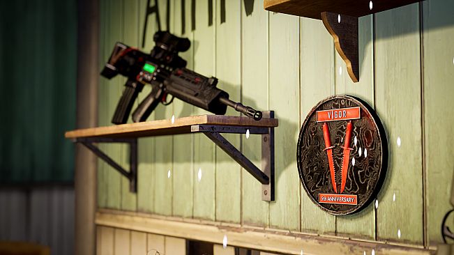 Vigor - Year "V" Pack