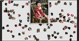 1001 Jigsaw World Tour Japan