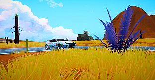 Poetry of Pace: Rally