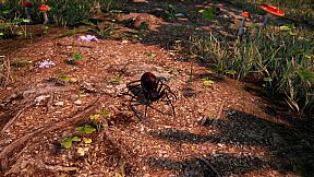 AWAY: The Survival Series