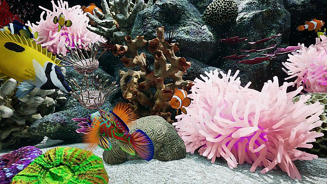 Sea Aquarium Screensaver