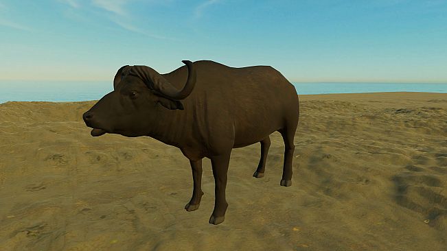 Animals for Clip maker