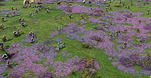 Age of Empires IV: Raiders of the North