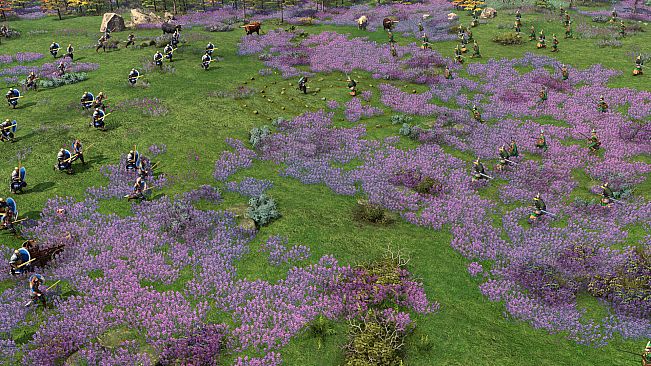 Age of Empires IV: Raiders of the North