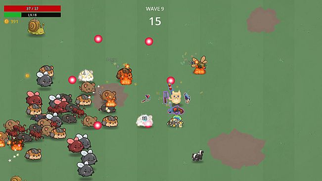 Cute Kitty WAR