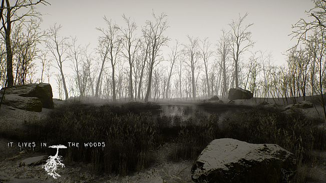 ItLivesInTheWoods