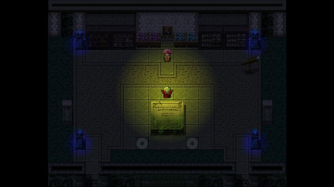 The Contractor