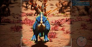 Morels: Out of this World