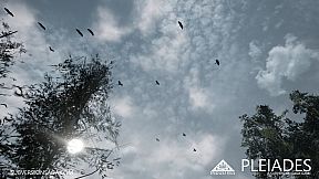 Pleiades - A Subversion Saga Game