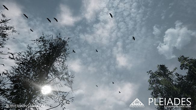 Pleiades - A Subversion Saga Game