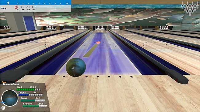 Bowlers : The bowling experience