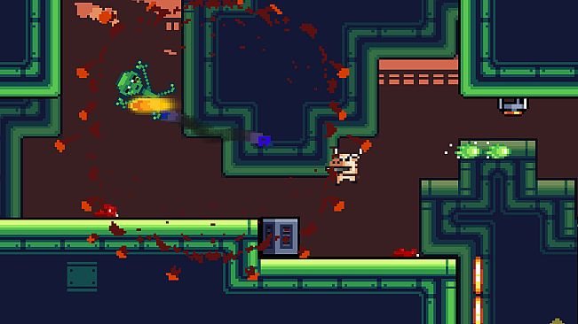 M.A.D. Cows and D.U.M.B. Ducks Bundle