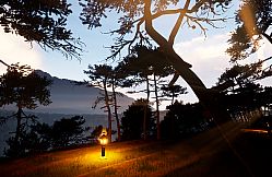 Battle Scars Eternal Stars