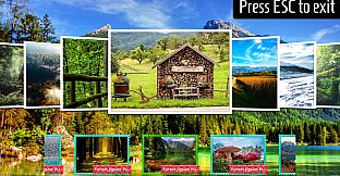 Classic Jigsaw Puzzles - Forest Jigsaw Puzzles