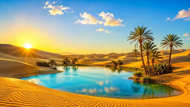 Puzzles Desert
