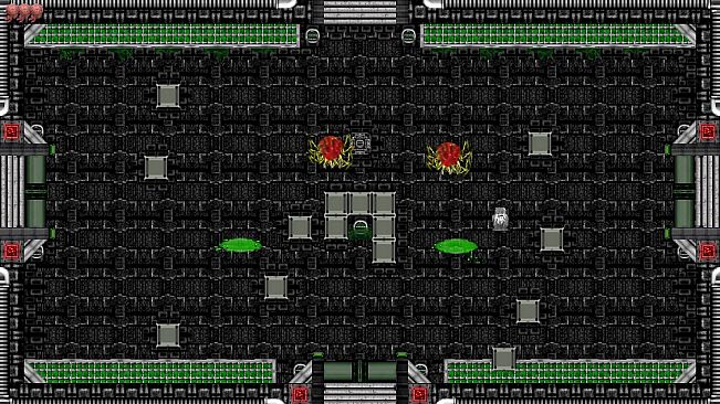 The Knowledge of Hermit