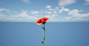 a Flower for you