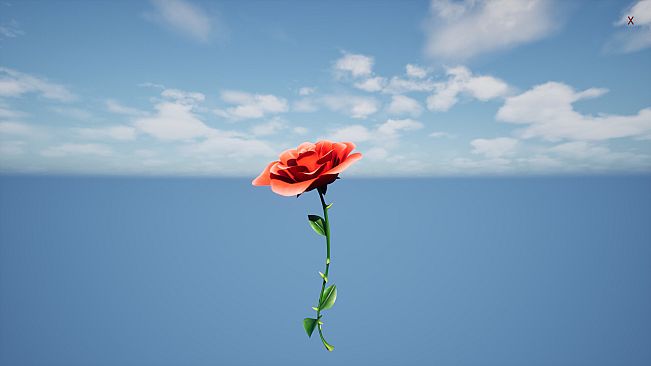 a Flower for you