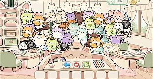 Cats MiaoMiaoMiao~