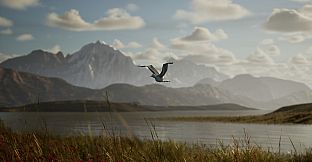 Photography Simulator