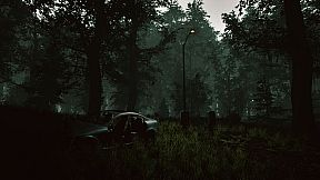 Mycelium: The Silent Contract