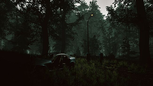 Mycelium: The Silent Contract