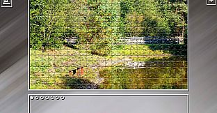 Super Jigsaw Puzzle: Generations - Forests